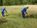 Oogstgroep